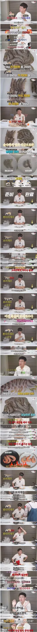 가격 차이 7배 나는 새우 블라인드 테스트
