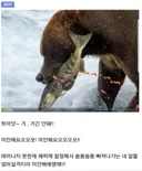 그냥 유머 사이트인 알았는데 낚임.. .jpg