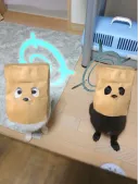 블루아카) 현실판 털?자 2인조