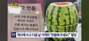 기막힌 얌체행동