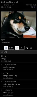 디씨의 닥스훈트 자랑.jpg