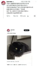 동물병원 고양이 이름 대참사