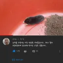 농작물을 다 죽이는 아주 악독한 녀석입니다. 그러나….jpg