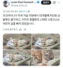 부패한 우크라 동물원 사육사 근황 ㄷㄷ