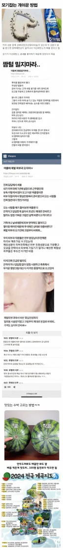 이제 무조건 알아둬야하는 여름 꿀팁 모음
