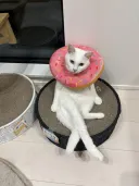 “흐응... 너, 여기 처음이야?”
