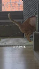 아니 그쪽 방향이 아니잖아