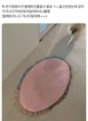 친구집에서 발매트인줄 알고 밟고 있던 것의 정체.JPG