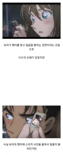 명탐정 코난 보라 팬티짤의 진실