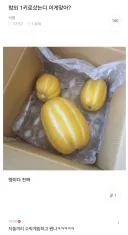 참외 1키로샀는디 이게맞아?