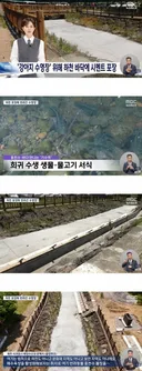 하천 콘트리트 대학살 사건 조사 시작