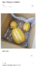 "참외 1kg을 샀는데..."