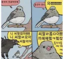 한때 중국어 전공자들 공감
