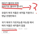최소 이 나라의 초등교육만 이수해도