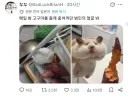 고구마도둑 현행범 체포