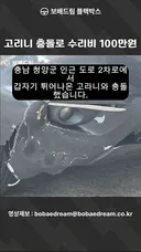 고리니 충돌로 수리비 100만원