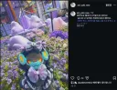 성우) 유우키 아오이 덕질하러 우리나라 왔었나 보네