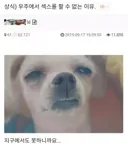 상식) 우주에서 섹 스를 할수없는 이유 . JPG