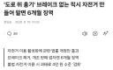 노브레이크 자전거 이거 좀 오해있네