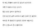 픽시 자전거 브레이크 없음?? 부랄도 없음