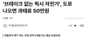 ‘브레이크 없는 픽시 자전거’, 도로 나오면 과태료 50만원
