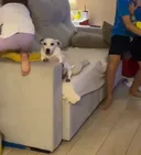 XXX:어휴 ㅅㅂ 집이 아주 개판이네...
