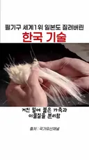 필기구 1위 일본도 질려버린 한국의 기술