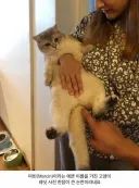 마빈(고양이): 취소해라, 방금 그 말!