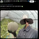 올해도 큰 멜론을 수확했다는 일본의 농부