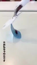일본에서 나온 신상 바퀴벌레채.
