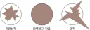 미완성작/이상적인 작품/실제 명작