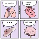 우리 몸 신체 장기들의 역할.manhwa
