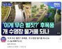 물거품 최신 근황