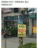 "젠장, 치악산 복숭아!"