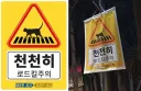 세금이 들어가는 길고양이 관리