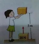 요즘 여자애들 발육 ㅗㅜㅑ