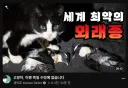 새덕후 유튜버의 빠구없는 제목.jpg