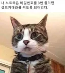 내 노트북은 비번을 3번 틀리면 셀카를 찍도록 되어있다