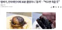 여러분 이제부터 햄버거 사먹는거 자제하세요...