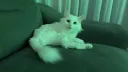 야심한 새벽, 좋은걸 보여주지