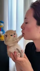 나 깨물지 마라 집사