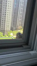 설거지 하러 가다가 귀여운 애랑 눈 마주침