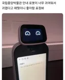 국중박 안내로봇한테 귀엽다고 해줬더니