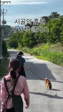 시골의 흔한 개 산책 클라스