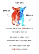치와와에 대한 흥미로운 사실