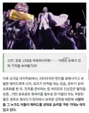 블리치 설정 보강에도 기대 안된다는 바이저드.jpg