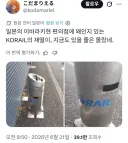의미불명의 존재