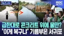 콘크리트 대학살 최신 근황