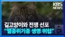 고양이 개체수 조절을 유효하게 할 수 있는 방법이 살처분 뿐인 이유