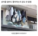 상어 말리는 이웃집